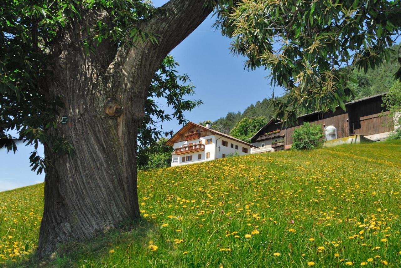 Wohrmannhof Apartment Feldthurns Exterior photo
